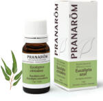 Pranarom Vietnámi eukaliptusz - eucalyptus citriodora 10 ml