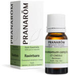Pranarom Madagaszkári kámforfa/ ravintsara - cinnamomum champhore ct cineole 10 ml