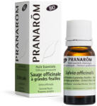 Pranarom Orvosi zsálya - salvia officinalis bio 10 ml