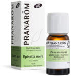 Pranarom Kanadai fekete lucfenyő - picea mariana bio 10 ml