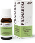 Pranarom Eukaliptusz smithii - eucalyptus smithii bio 10 ml