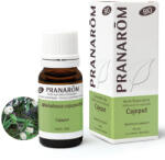 Pranarom Cajeput - melaleuca cajuputii bio 10 ml