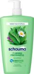Schauma 7 Herbs 1 l