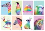 Patria Pigna: Animal Rainbow caiet cu pătrățele A4 - diferite (P1111 1863)