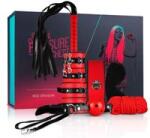 SCALA Set BDSM Secret Pleasure Chest