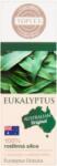  Topvet Eukaliptusz 100% tisztaságú olaj 10ml