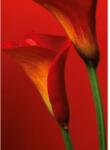 Wizard+Genius Fototapet floral WG 00406 183x254 cm