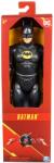 Batman Figurina The Flash 30cm (6069180_20145525) Figurina
