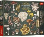 Trefl Puzzle Trefl 500 Premium Plus Finders Keepers Ciuperci (37608) Puzzle