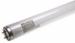 Sylvania 0001638 Fénycső 40W 2F/T12 rovarcsapdába 590mm BL368 (1638)