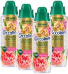 Coccolino First Blooms illatfokozó mosóparfüm (4x460 ml) + AJÁNDÉK Coccolino plüss maci