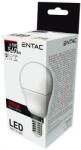 Entac LED Mini Globe E14 6, 5W WW 3000K (LLMG14-6,5W-WW)