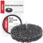 AMiO Disc pentru îndepărtarea ruginii 100 x 15 x 6 mm AMiO-04927 (04927)