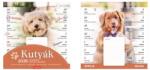 TopTimer Naptár, fali, mágneses, kétheti, TOPTIMER, kutyák (NKT090002U) - webpapir