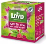 LOYD Expressz Zöld Málna Tea Raspberry Green Tea 20 Priamid Loyd (5900396025692)