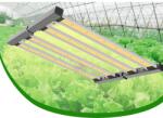 LEDMEGROW LED grow SAMSUNG panel 240W növényneveléshez