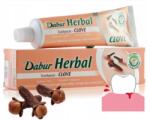 Dabur Szegfűszeges fogkrém 100 ml Fluoridmentes, ajurvédikus (5022496016940)