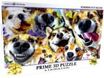 Prime 3D Howard Robinson Prime 3D Kutyák És Macskák Nyári Selfie 3D puzzle 61x46cm 500el (670889200633)