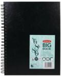 DERWENT Caiet pentru schite si desen DERWENT Professional, A4, cu spira, 86 coli, 110gsm, hartie alba (DW-2301607)