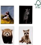 Caiete scolare import Caiet A5, 48 file, 80gsm, coperta carton 300gsm, design animals - dictando (EP-694220)