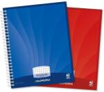 Aurora Caiet cu spirala, A5, 50 file - 90gsm, coperti carton, AURORA Mano - matematica (5C51)