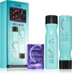 Malibu C Curl Wellness szett göndör hajra
