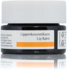 Dr. Hauschka Lip Balm (4, 5 ml) (42239536)