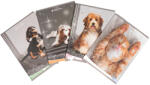 Elisa Caiet Tip 2 Elisa, 36 file, 80g/mp, coperta carton, Motiv sweet pets (EP-696958)