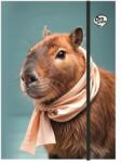OPTISCHOOL Палпана с гумени ленти, картон, A4, OPTISCHOOL „Capybara 27IGM00-004 (27IGM00-004)