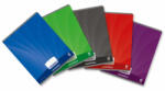 Aurora Caiet A5 Aurora Mano, 36 file, 90g/mp, dictando, coperta carton lucios, Culori asortate (136M1L)