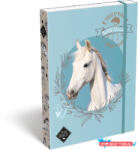 LIZZY Füzetbox, A4, LIZZYSULI, "Wild Beauty, Sport Club (COR_TICLFBWBA4)