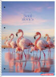 Shkolyaryk Publishing House Spirálfüzet, A4+, vonalas, 80 lap, SHKOLYARYK "Soul Stories", vegyes (COR_SB806711L)