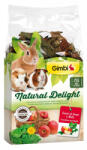  Gimbi Natural Delight pitypang és alma - kiegészítő eleség rágcsálók számára 100g