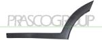 PRASCO Elemente decorative/protectie, portiera PRASCO HN8061454 (HN8061454)