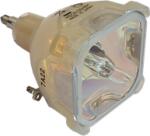 InFocus SP-LAMP-005 lampă compatibilă fără modul (SP-LAMP-005)