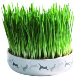 TRIXIE Bol Ceramic 15 x 4 cm iarba mâței pentru pisici