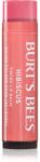 Burt's Bees Tinted Lip Balm balsam de buze culoare Hibiscus 4.25 g