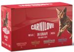 CARNILOVE Macska Tasak Szószos Többcsomagos 12x85g