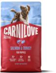 CARNILOVE Active Kutya Lazac és Pürkévaló Kölyköknek 4kg