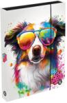 KARTON P+P Cutie pentru caiete A4 Jumbo Câine (1-46825)