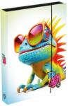 KARTON P+P Cutie pentru caiete A4 Jumbo Chameleon (1-46725)