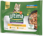 Affinity 16x70g Ultima Cat Expert Nutrition Difficult Appetite tonhal & csirke nedves macskatáp 3+1 ingyen