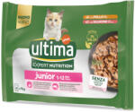 Affinity 16x70g Ultima Cat Expert Nutrition Junior csirke & lazac nedves macskatáp 3+1 ingyen