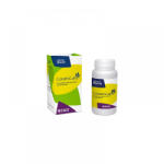 Stangest Condrocare Supliment articulatii caine pisica: 90 tablete, 350mg Glucozamina, 350mg MSM