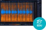 iZotope RX 12 Advanced EDU (Digitális termék)