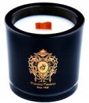 Tiziana Terenzi Ebony teck illatgyertya 170g (8016741601361)