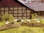 Noch 13040 Weidezaun (4007246130405)