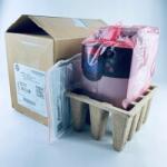 Allen-Bradley 22F-D6P0N113 2.2KW Új (22F-D6P0N113 )