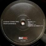 Noiz Avishai Cohen Trio - From Darkness (854622)