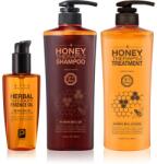 Daeng Gi Meo Ri Honey Therapy Hair Care set